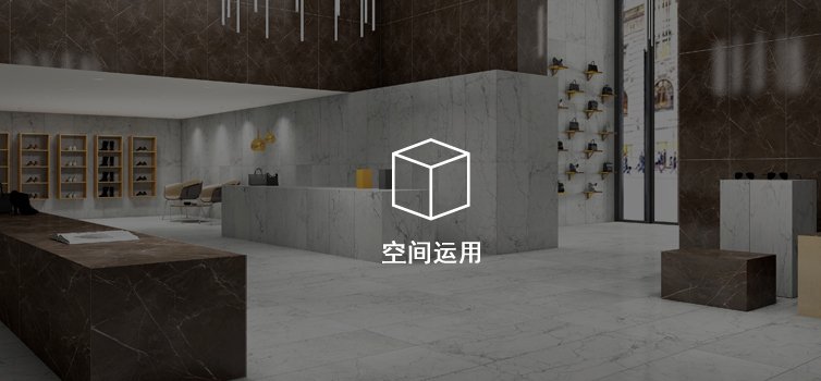声明书
